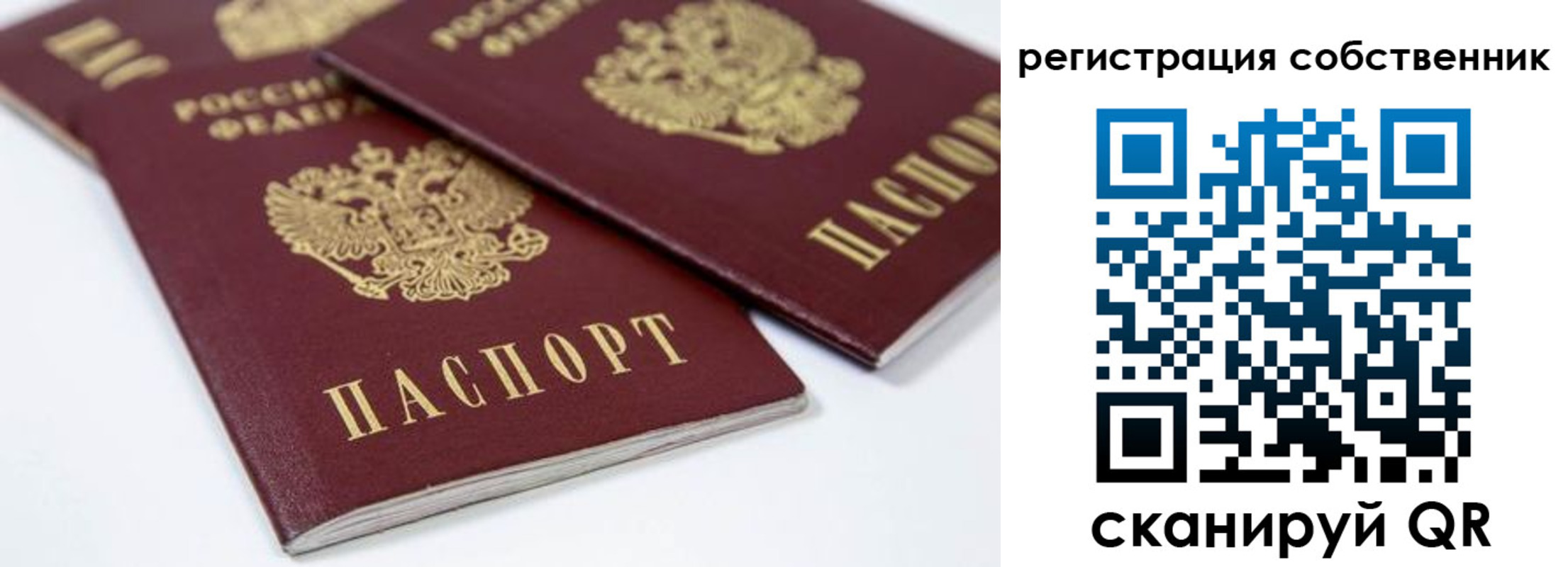 прописка для школы в Калининске